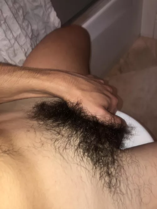 21 bicurious college athlete. Hit me up if you have hairy pubes/pits/chest by collegedude444