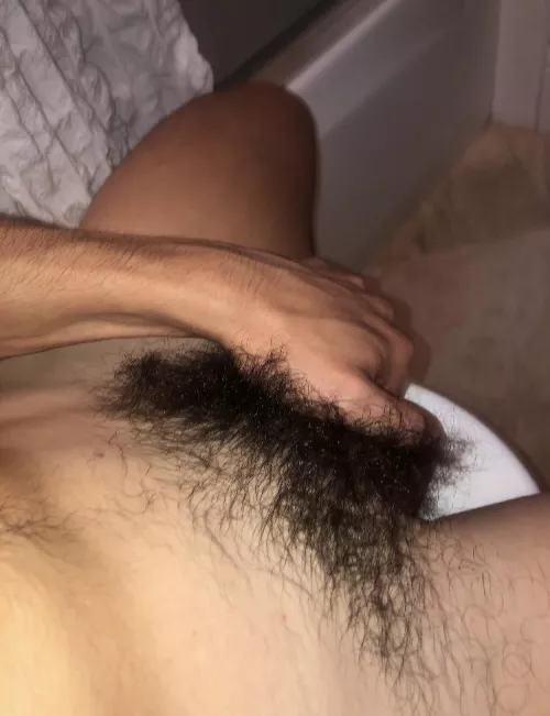 21 bicurious college athlete, hit me up if you have hairy pubes/pits/chest,, or add me on snap @pgrey773 by collegedude444