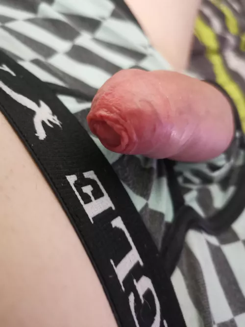 [21] He grew out of my underwear pocket. Would you like a taste? DMS open 🏳️‍🌈 by ferdi_heart27