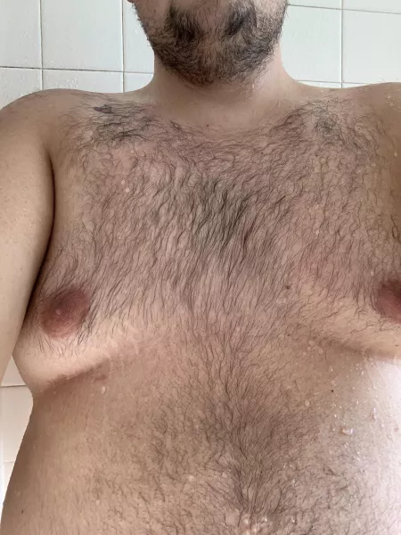 21 M Bear Boy 🐻 I want my nipples pierced. What do we think? Also love my chest fur 😋 by yeehawgayboi