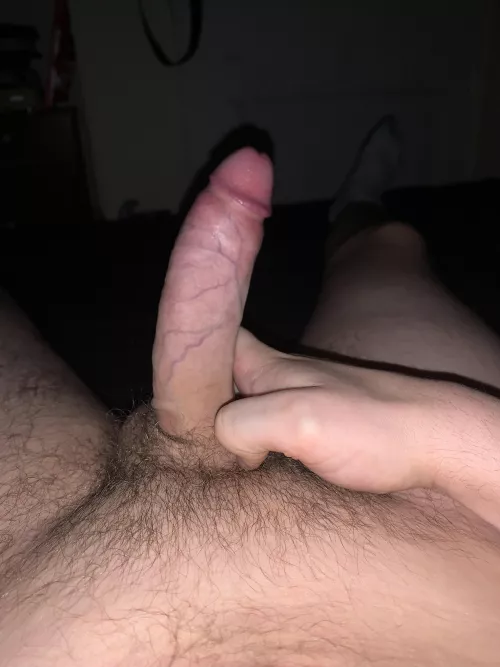 21 - sharknadopv2 😎 by sharknadopv