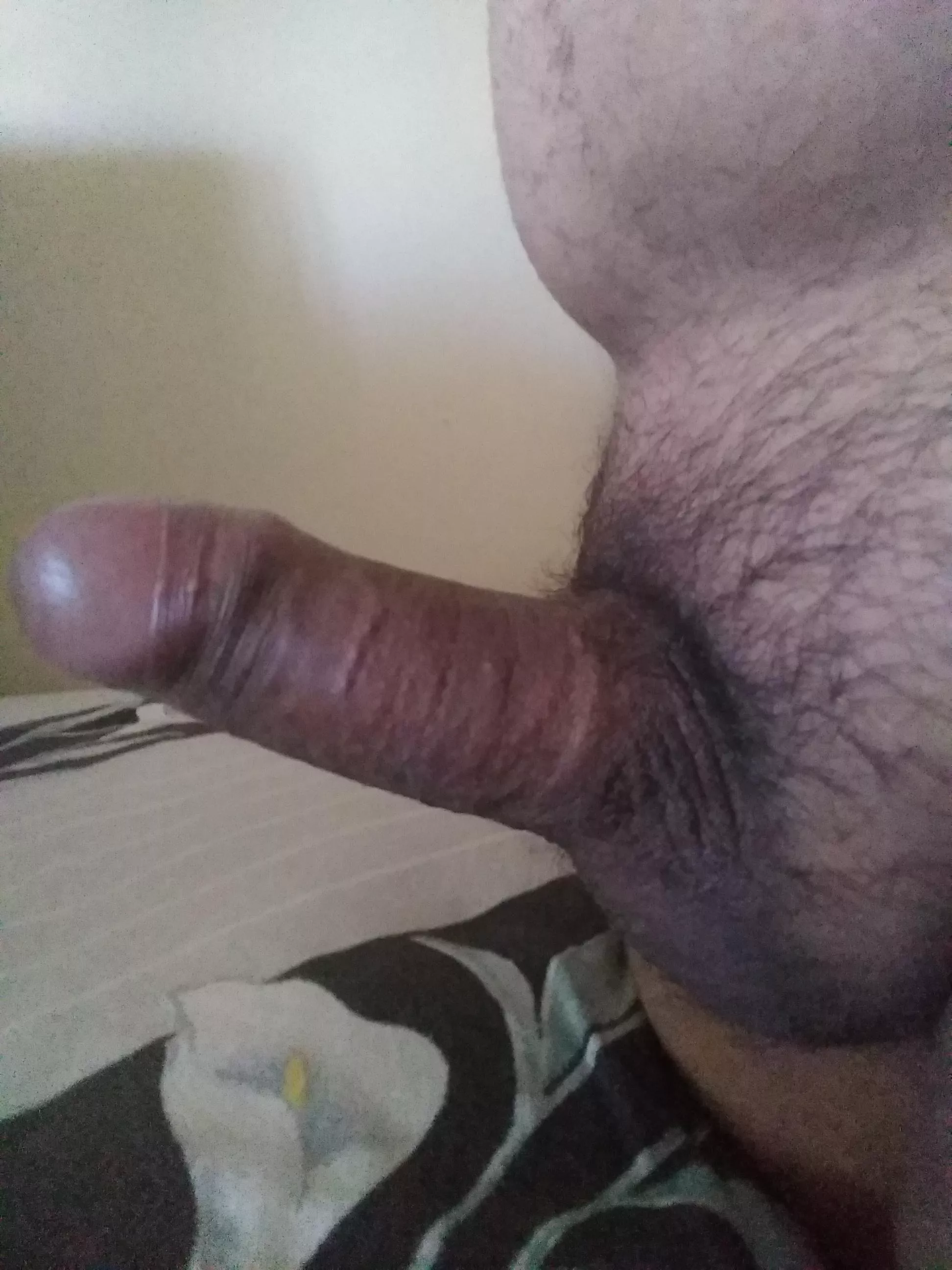 (21) someone is excited today😏 posted by SmallPPboi7