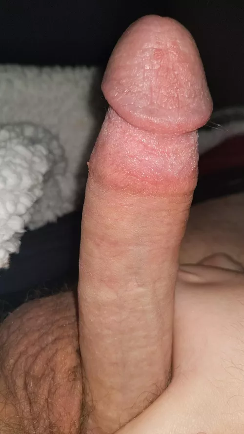 21 top looking for chubs with big asses and small dicks, hmu on snap: Kingoflizards00 or Kik: DragonOverlord00 for fun by RedxSenpai