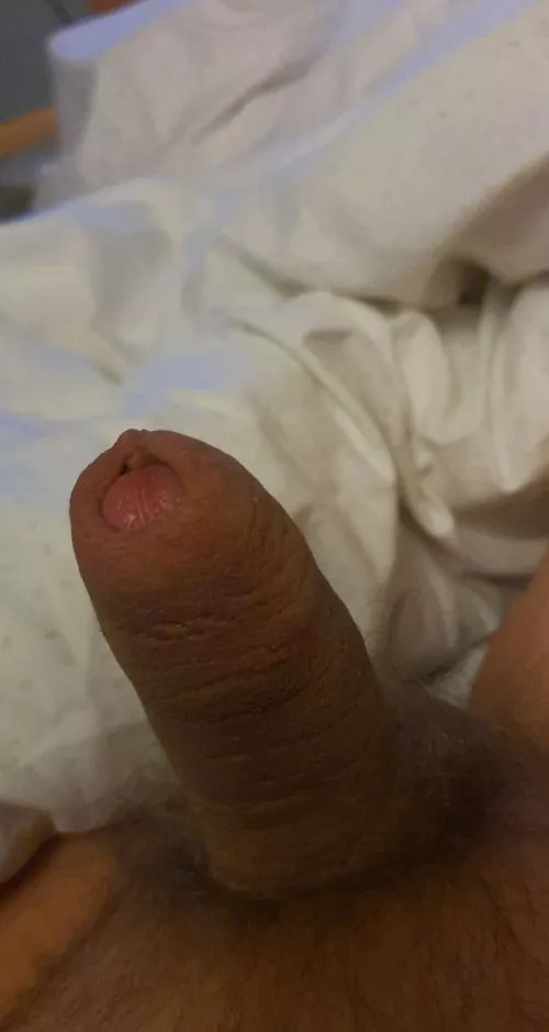 (21) year old looking for guys 18-22 ❤❤ I'm chubby and have a small dick ❤ dm for social media by External_Warthog5379