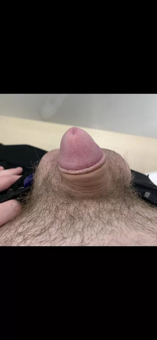 (22) 6’3 with Size 15 feet but my cock didnt get the memo. DM’s Open (: by Scary-Hours