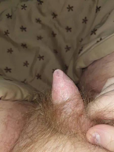 [22] Little one says hello! (PM is open!)✌️ by MrQwerty9911