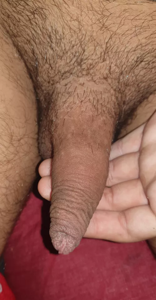 [22] Morning foreskin by llikocy