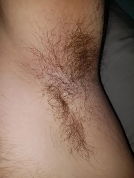 [22] ripe and stinky by luzarka