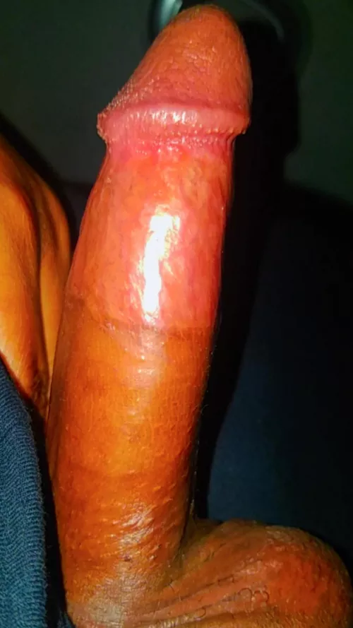 22M. One of the best pics I've taken of my cock. by ZestycloseLie236