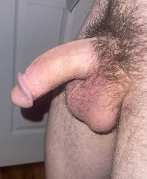 23 and curious, DMs open by bigdickhippie