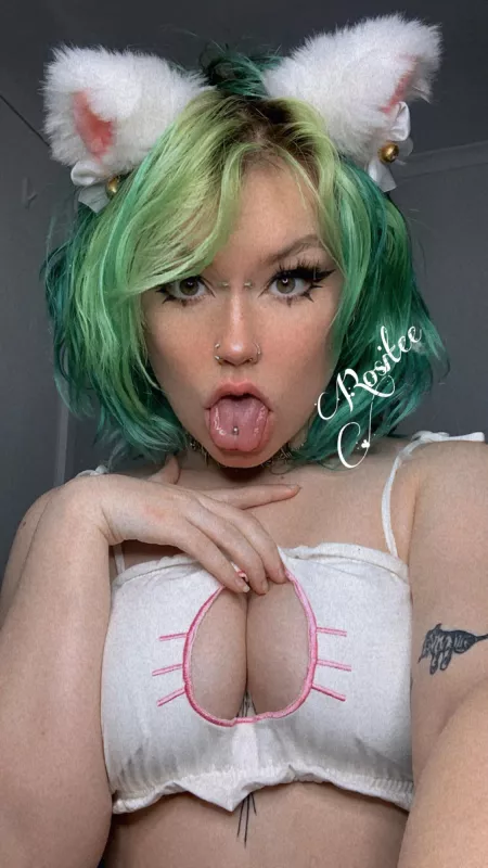 [23] [F] kitty girl ready n waitin 🥰❤️ by rositee