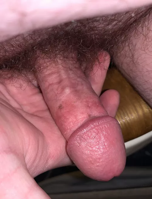 [23] First post here, what do you think? by InitialArtistic6866