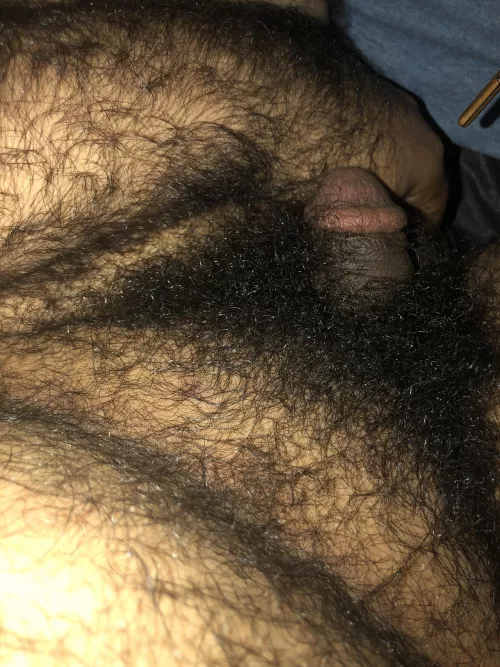 23 hairy curious Arab (soft) snap: Zarab5151 HMU for more 😉 by Toy-5432