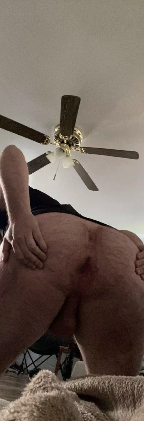 23 Hypnotized to love showing off my butt, especially when someone sends me emojis. Add me on snap Jordanbryer20 by TranslatorFinal2094