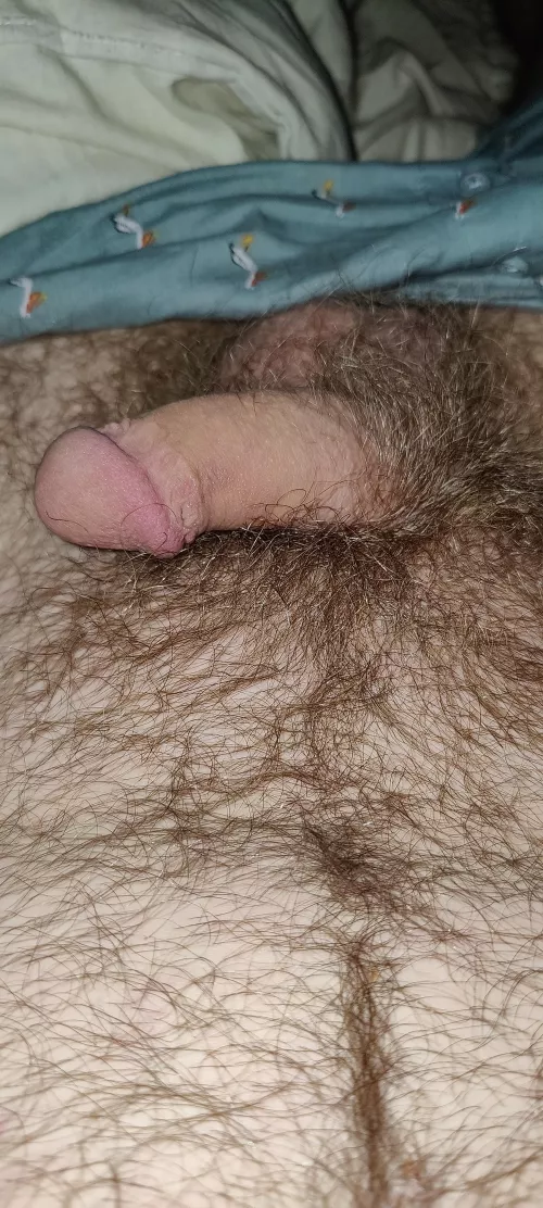 (23) Please be nice by insecuresub24