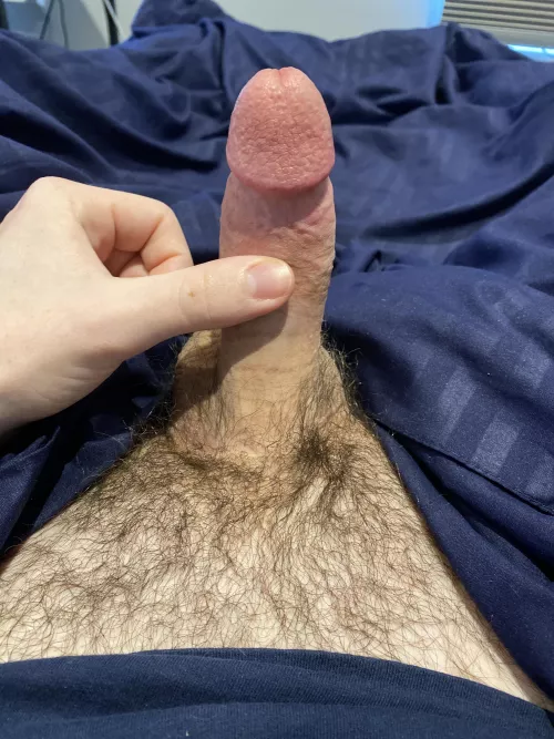 (23) prove you outsize my little cock (dms open) by ccol6227