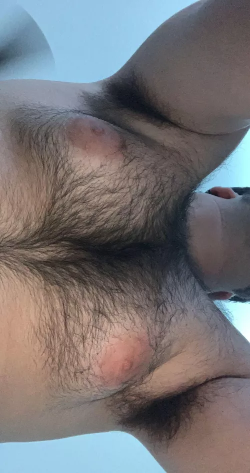 23 someone come play with them by FarFoundation5392