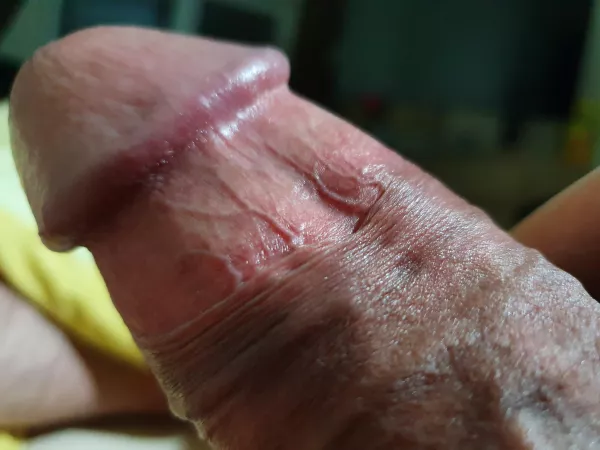 23 yo gay boy + huge dick (21 cm) + horny ----> add me on snap: @sangreal1848 by Former_Town_4773