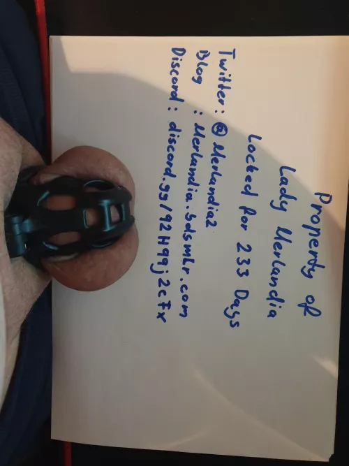 233days locked and my Lady Merlandia is looking for New slaves by chopono