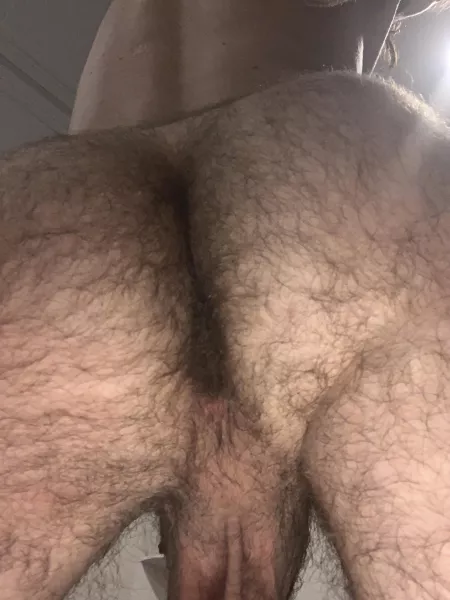 [23]m. Who likes their ass hairy as mine? 😈 by td759