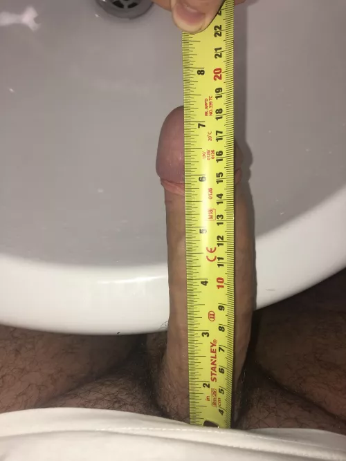 24, 7.5/8 by Sure_Advance_5521