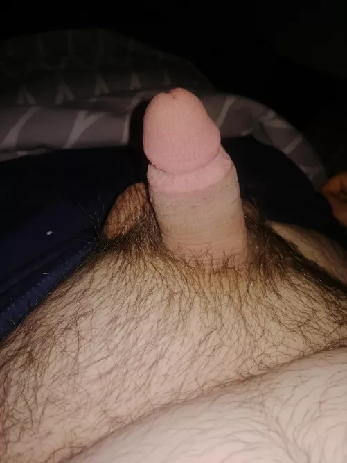 [24] by HairyChubBott