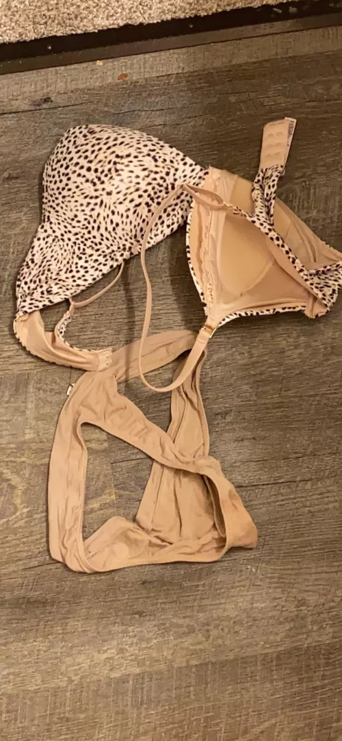 24 f wife’s panties and bra. Both VS by Mfillmore14
