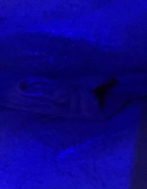 24 [f4f] come lick up my wet cunt by peachkis