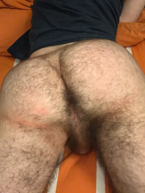 24 in shape and horny with a big furry bubble butt. 😈 DMs are open by Dcrtyk21