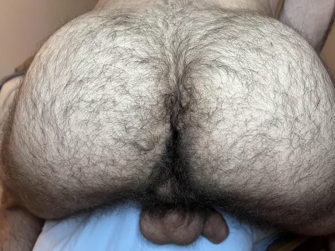 24 in shape bottom with a thicc tight furry bubble butt. 🍑im horny as hell, DM me by Frrybtm