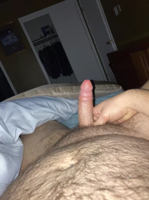 24, need a daddy/bro bear by tongaman1234