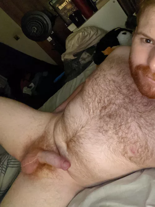 24 year old chubby dude here looking for some company ;) by Wise-Drink9665