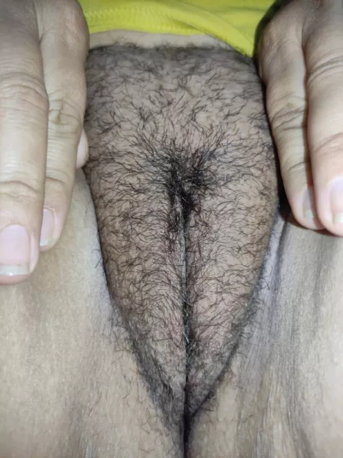 24[F] welcome to the Jungle by Beautiful_Finger_193