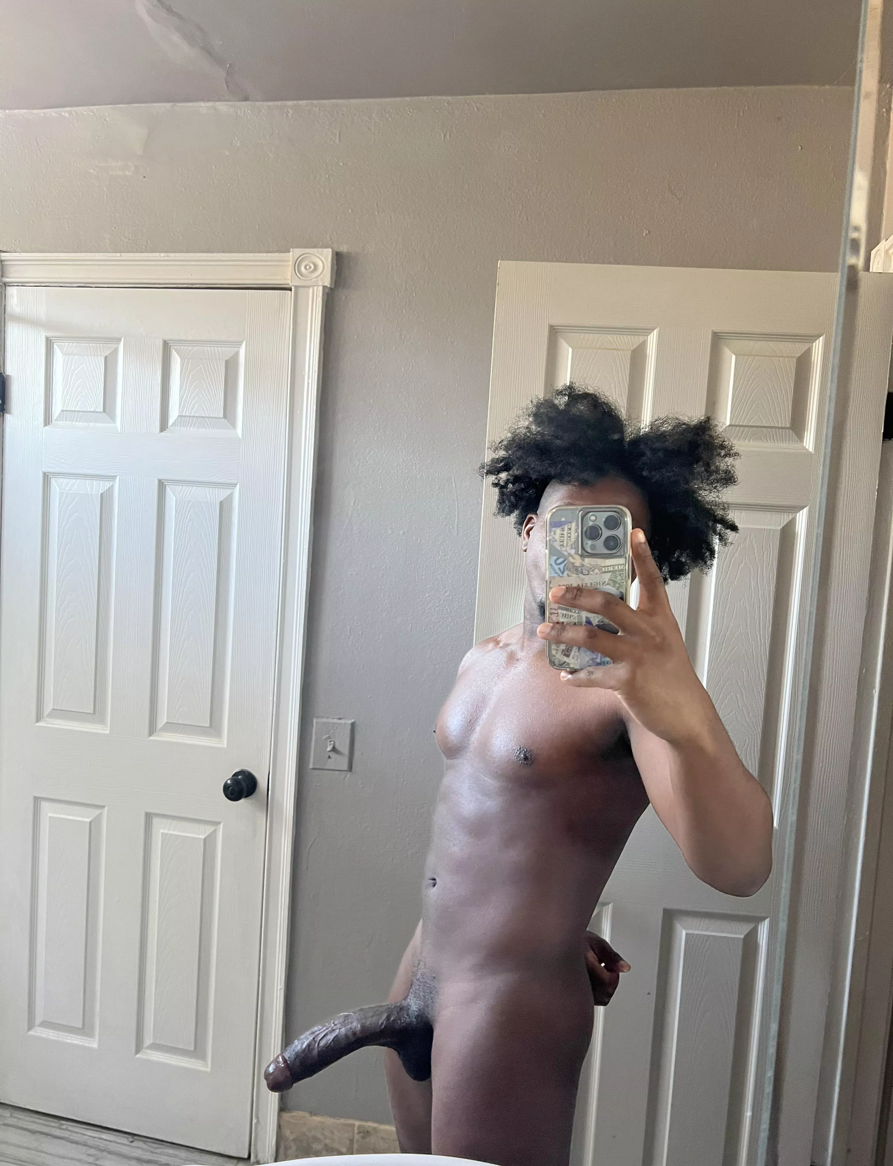 24M Bull Los Angeles, CA posted by chrishasabig