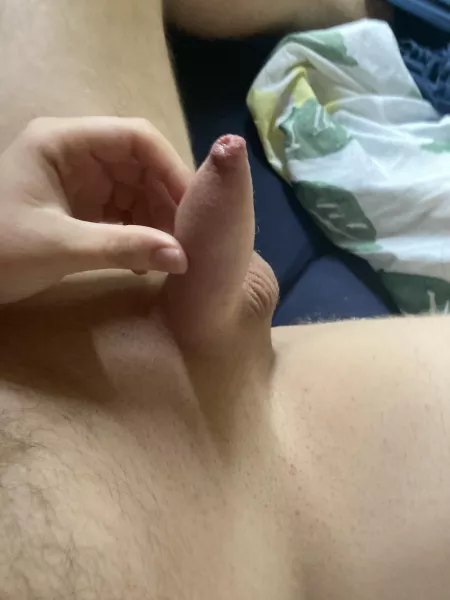 (24)Woke up with my pp quite excited becouse today is a day of my milking. But that also means that i have to wait 2 weeks for another one ,of course i wont have orgasm,it will be just to leak cum out of my little balls to get them empty by PhimosisD