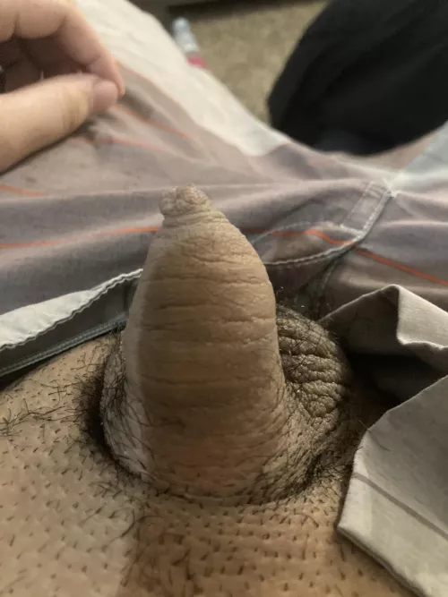 [25] by Competitive-Mud-5307