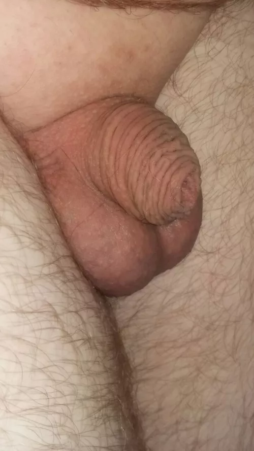 [25] Anyone here like small guys? 😏 by Eclectic-Panda