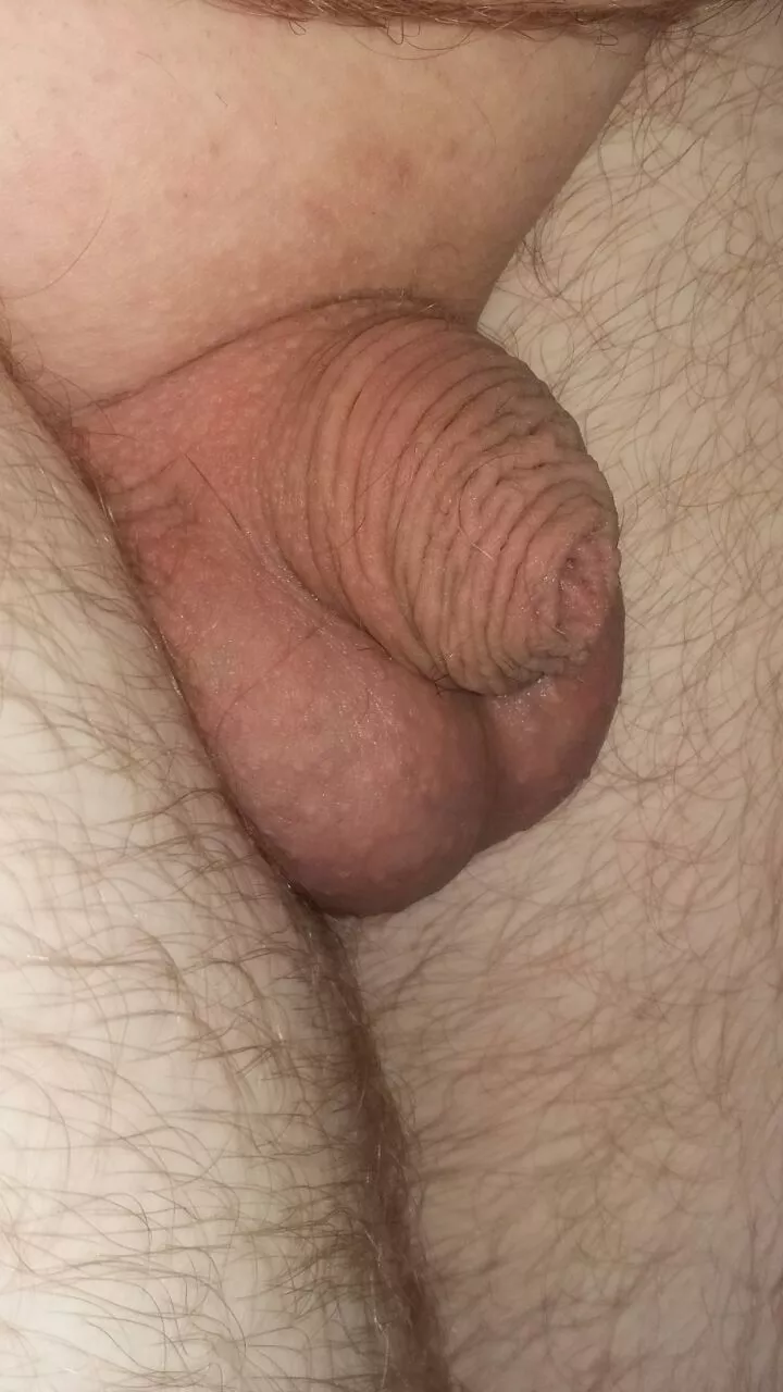 [25] Anyone here like small guys? 😏 posted by Eclectic-Panda