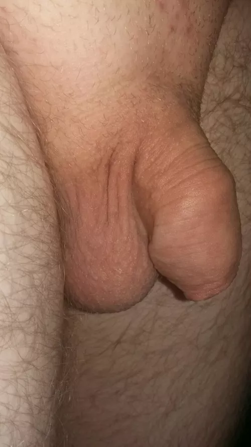 [25] Cute lil side view! Thought it was cute? by Eclectic-Panda