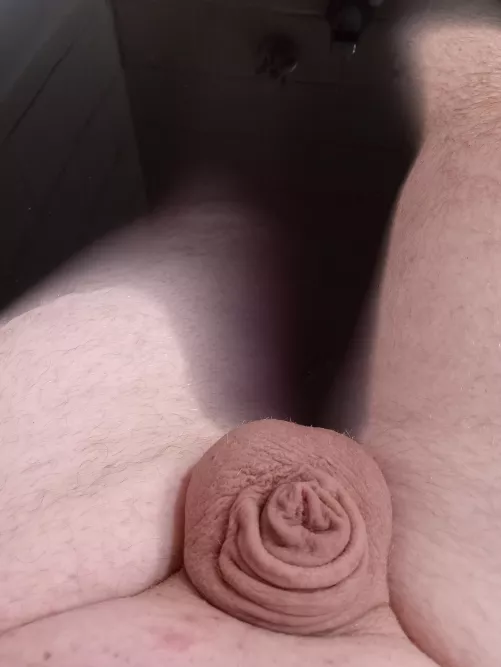 (25) Feeling small and cute :) by weinershortage