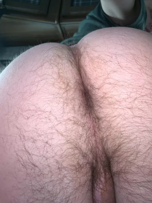 (25) get lost in the forest by buttmxnch