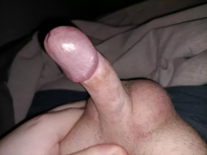 [25] Hello once again by C4Kuchen