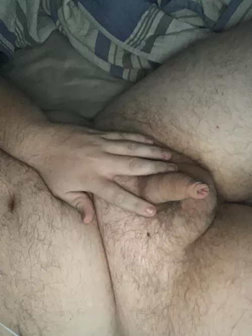 [25] like my hood? by thinker555