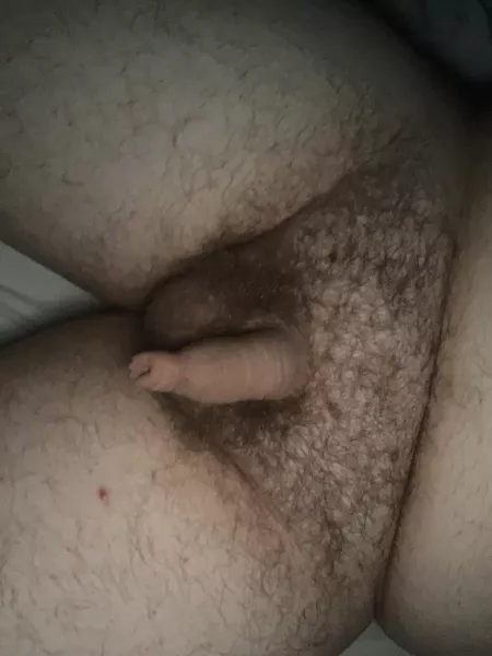 [25] Lil guy needs some lovin by thinker555