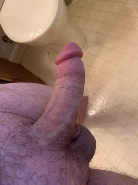 25 M Looking for some opinions on my cock by Wankingpanda