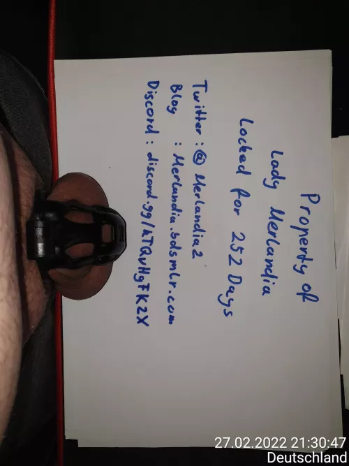 252 days and ongoing my Lady is still looking for new slaves by chopono