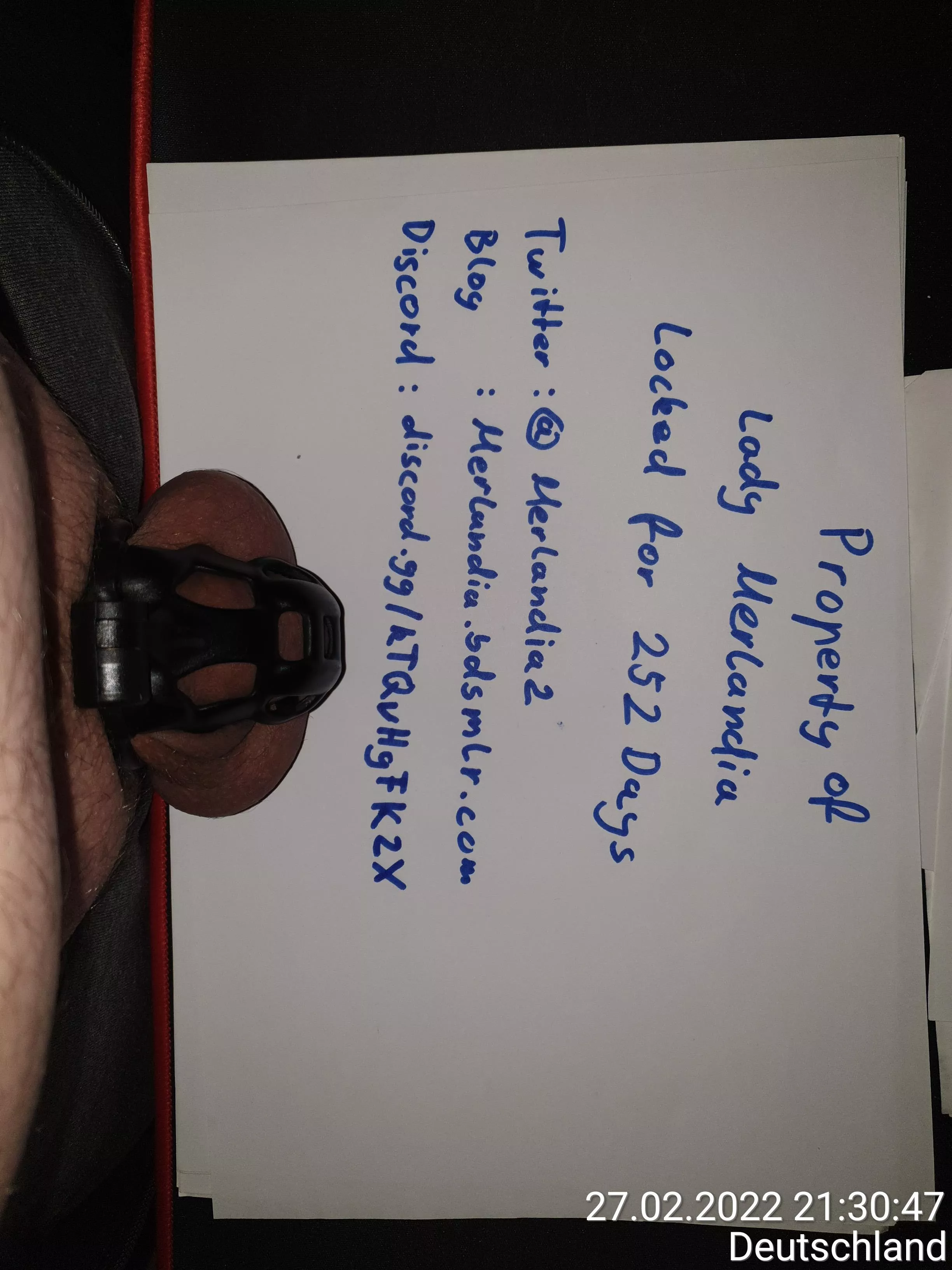 252 days and ongoing my Lady is still looking for new slaves posted by chopono