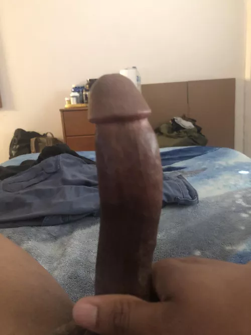 [26] Craving to bury this in someone 😮‍💨 by BlasianTwink