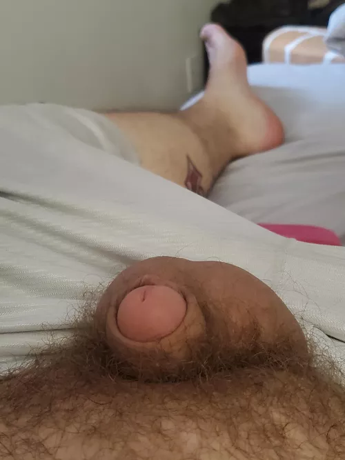 [26] he got a little cold this morning by Icy-Date-3896