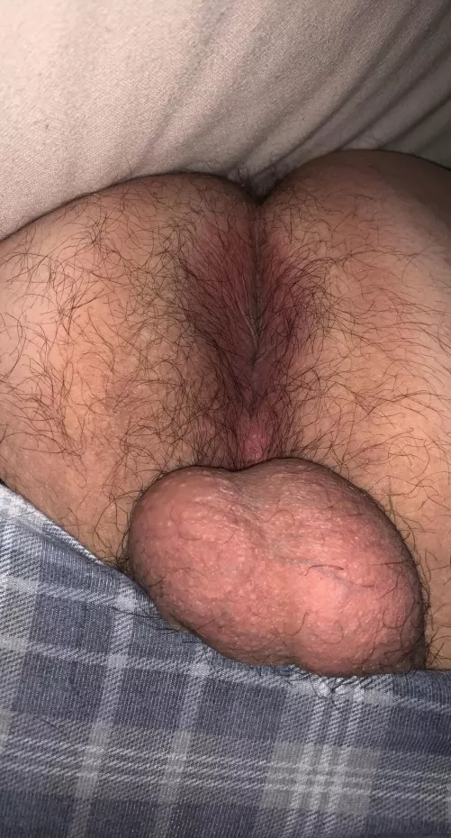 [26] Hi what's up? by Guy_SA